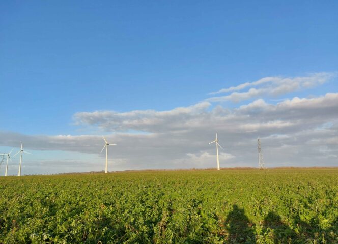 Agriculture régénératrice